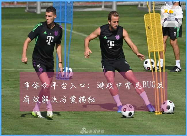 华体会平台入口：游戏中常见BUG及有效解决方案揭秘