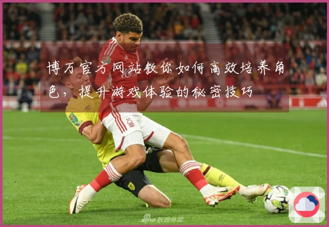 博万官方网站教你如何高效培养角色，提升游戏体验的秘密技巧