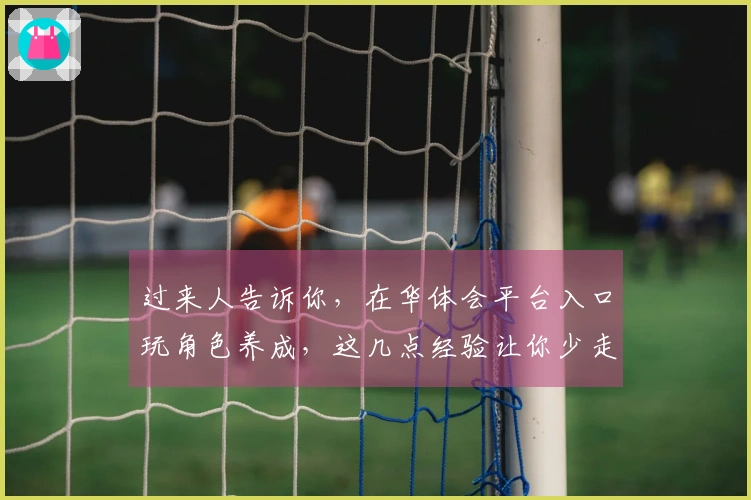 过来人告诉你，在华体会平台入口玩角色养成，这几点经验让你少走弯路，成长飞升！