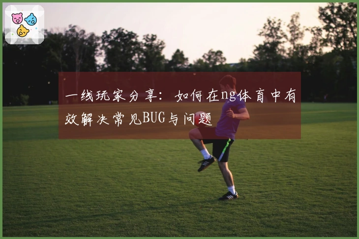 一线玩家分享：如何在ng体育中有效解决常见BUG与问题