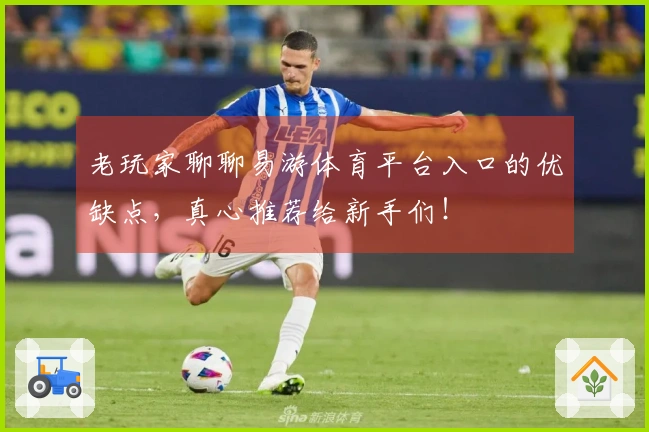 老玩家聊聊易游体育平台入口的优缺点，真心推荐给新手们！